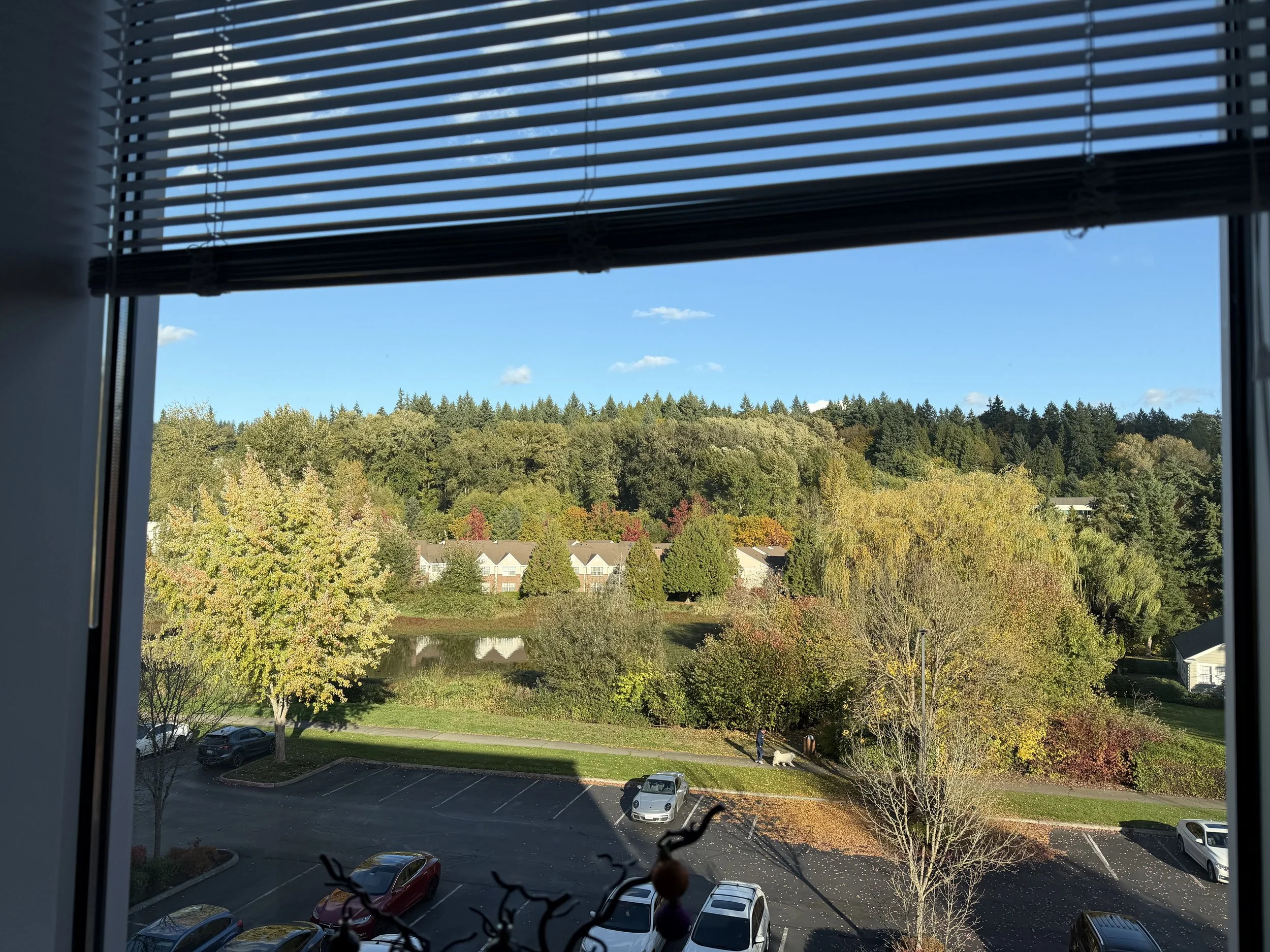 Wrong $$$ Priorities