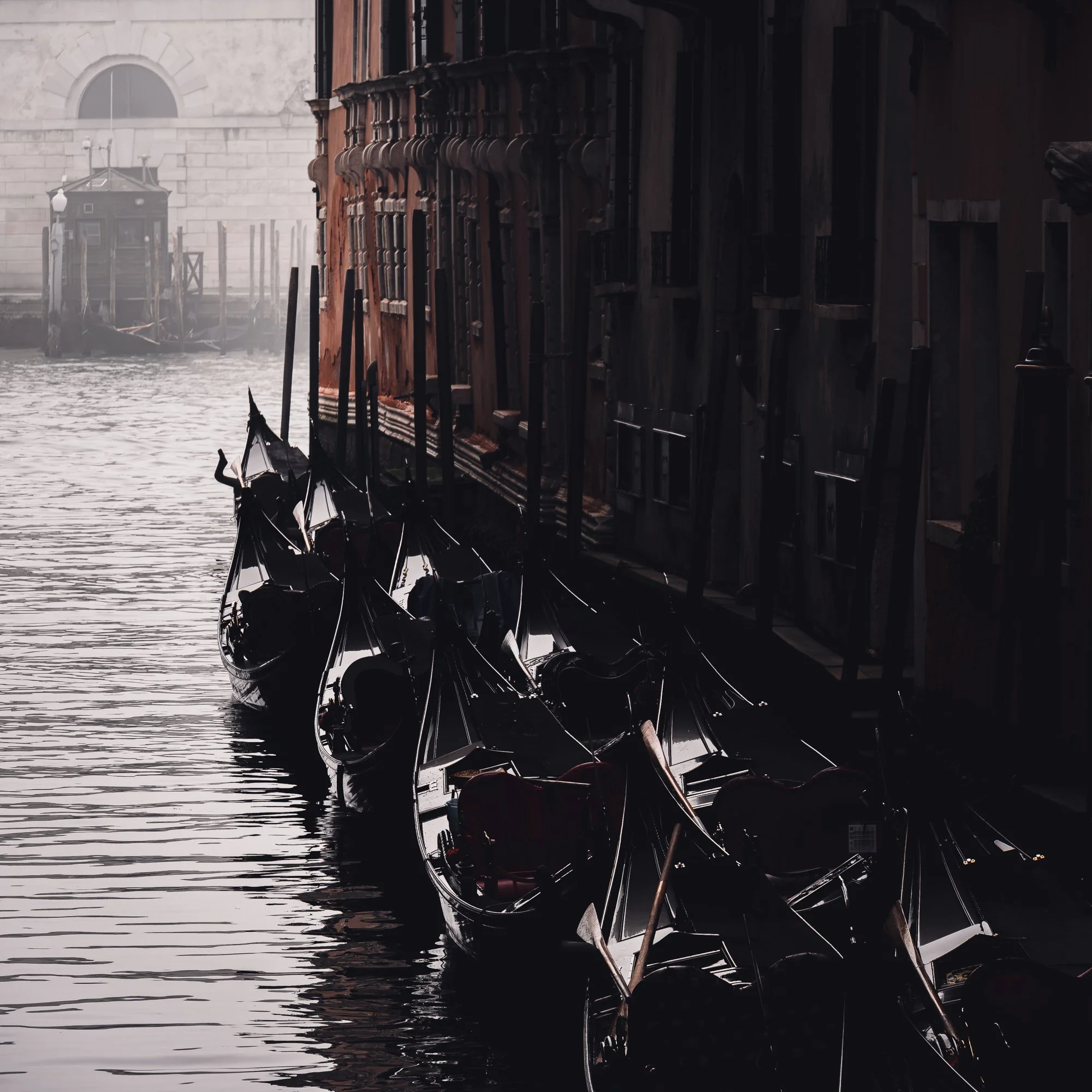Venice Gond.-2.jpg
