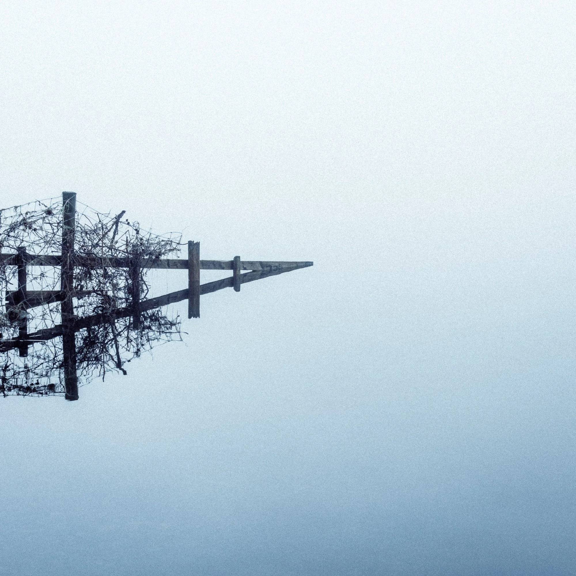 Buttermere Fence into Oblivion.jpg