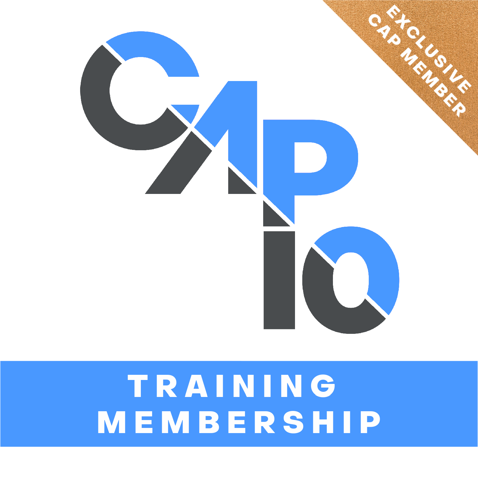 CAP 10 Training