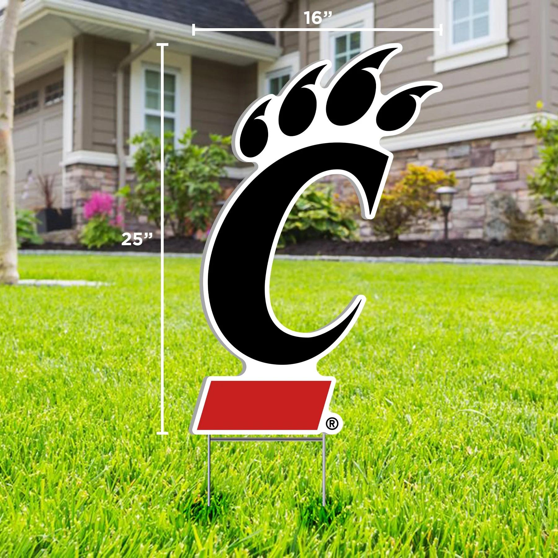 Cincinnati C Paw Sign