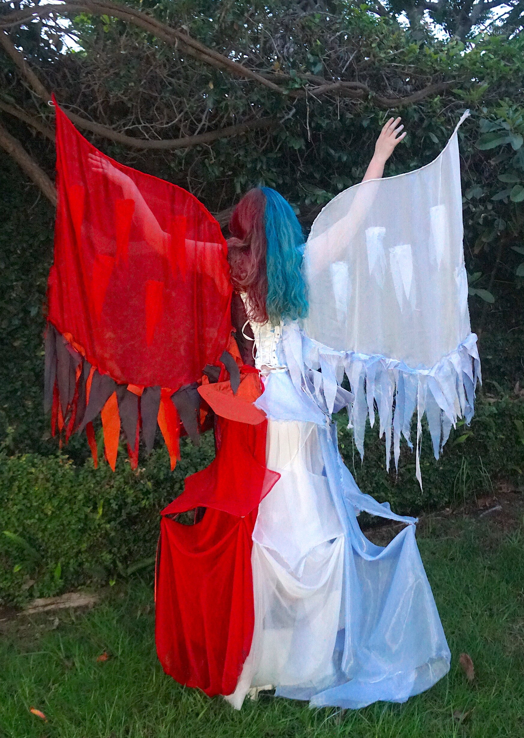 Fire & Ice Back edited (3).jpeg