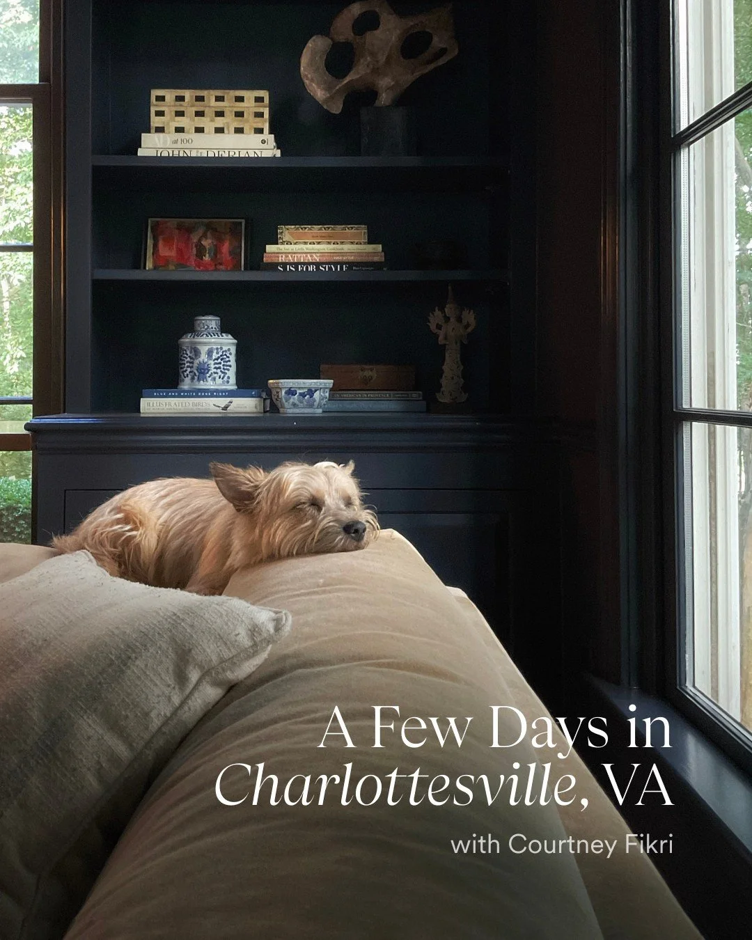 A few days in...Charlottesville, Virginia 📍

In our new series, we're taking a curated look at how influential voices in design spend time in their favorite destinations. We're kicking things off with a city we know best, thanks to Studio Cadette's 