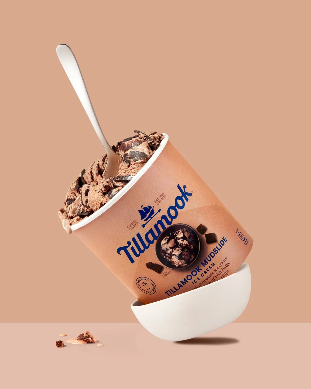 Tillamook mudslide ice cream