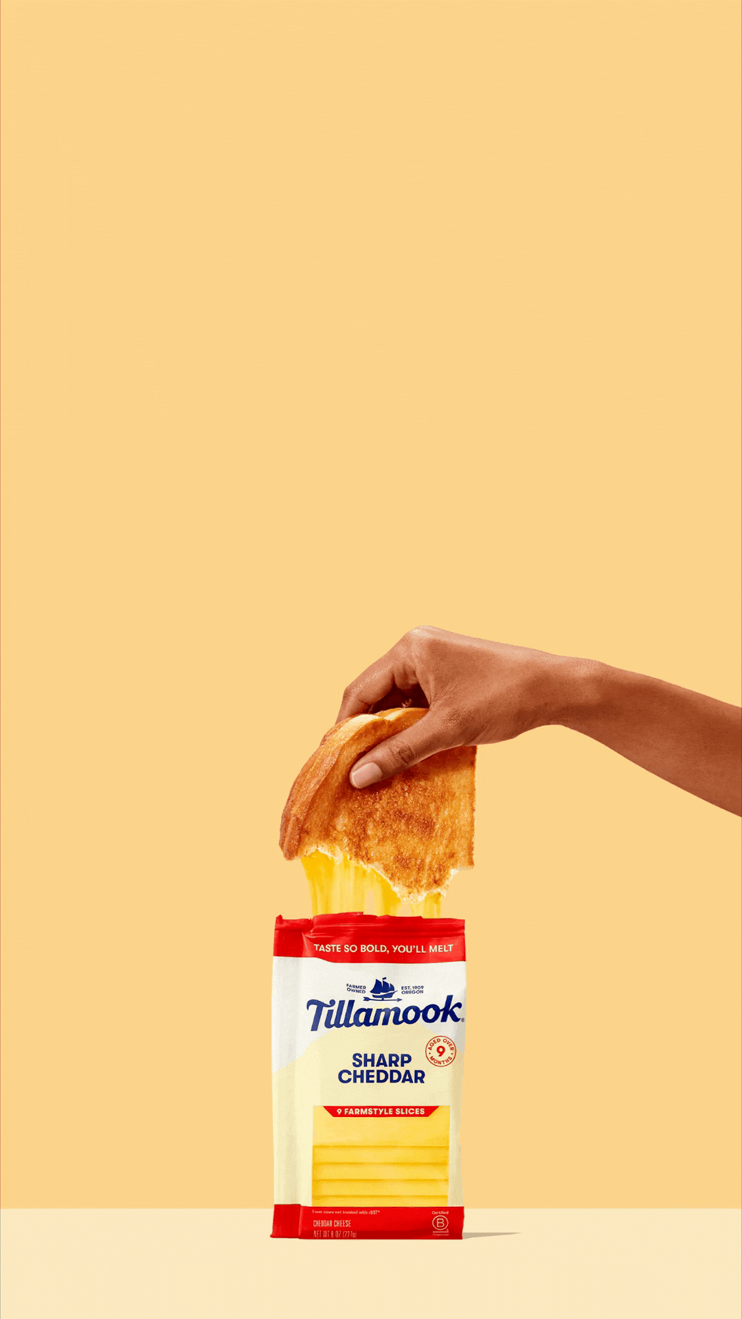Tillamook_Cheese_Sharp Cheddar_Slice_Farm_8oz_Grilled Cheese Pull Vert_Pack.gif