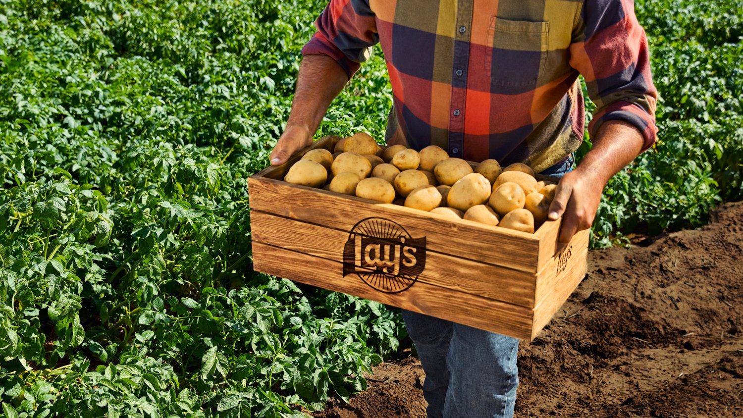 Real Lay’s potato farmer carrying a harvest crate