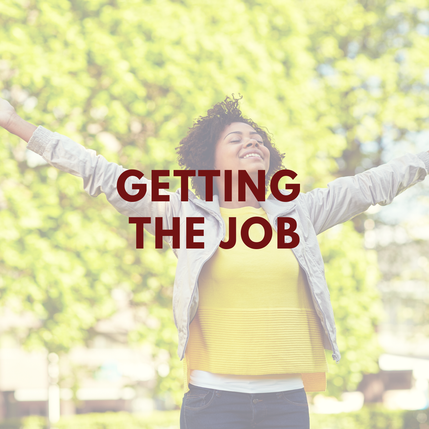 Website Getting the Job.png