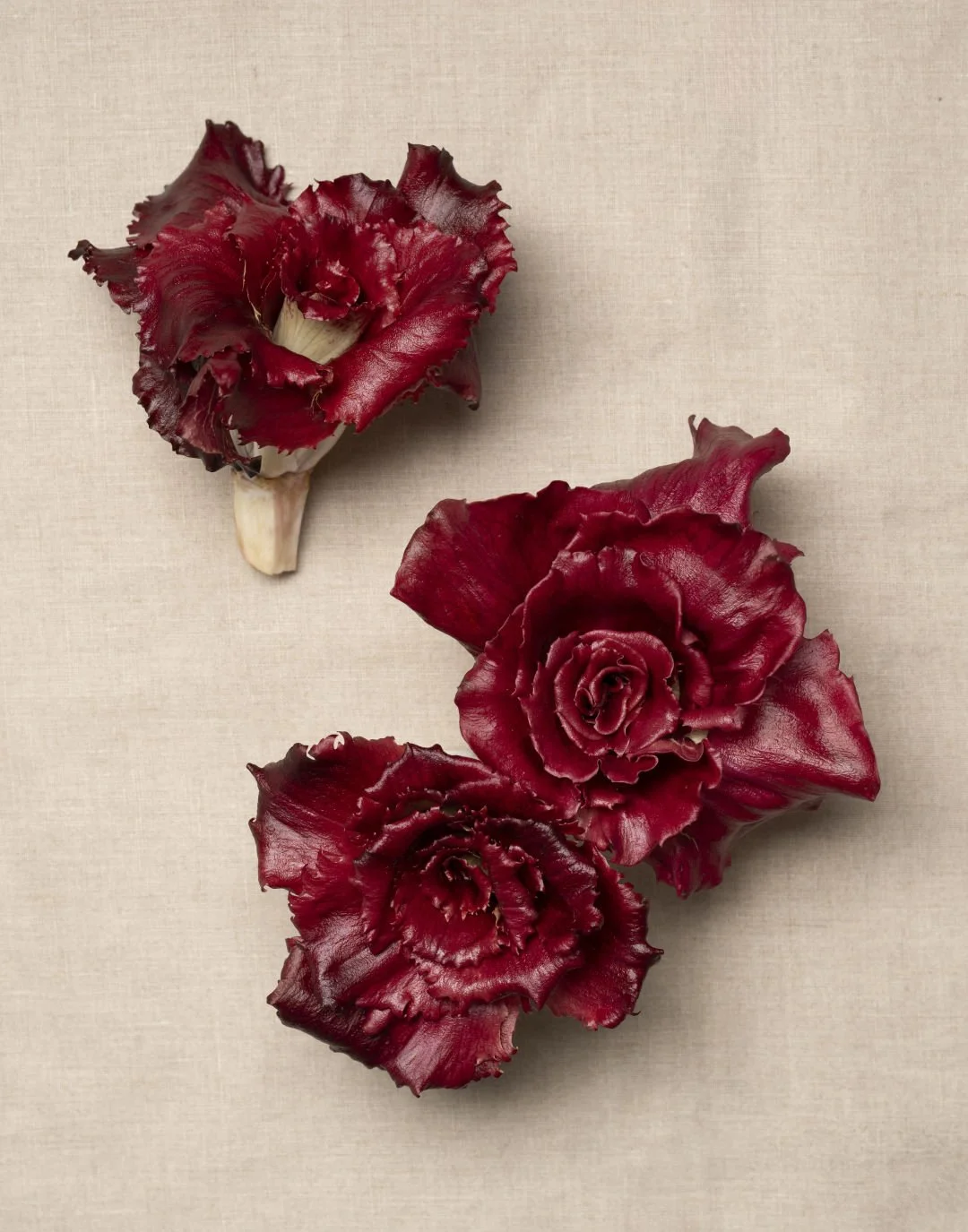 How Bitter Radicchio Became Portland’s 21st-Century Sweetheart