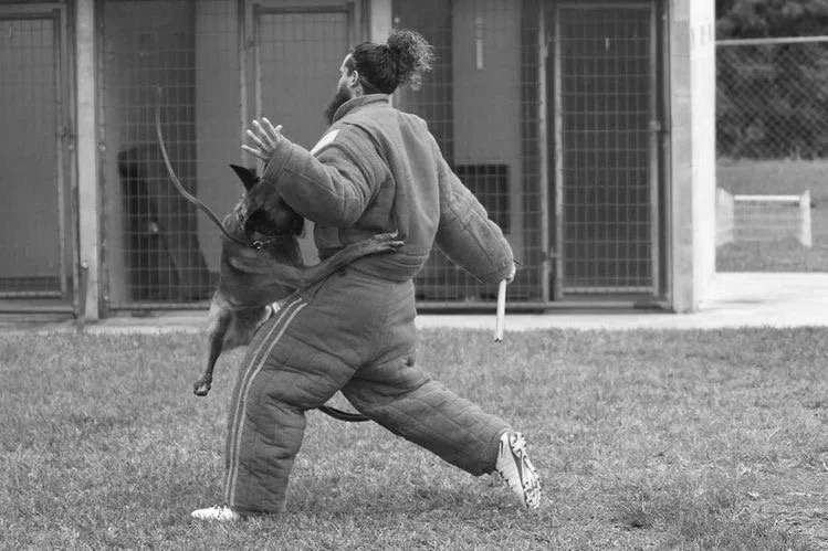 Protection Sports | Enhance Security Today — Protect Your Family — 9 ...