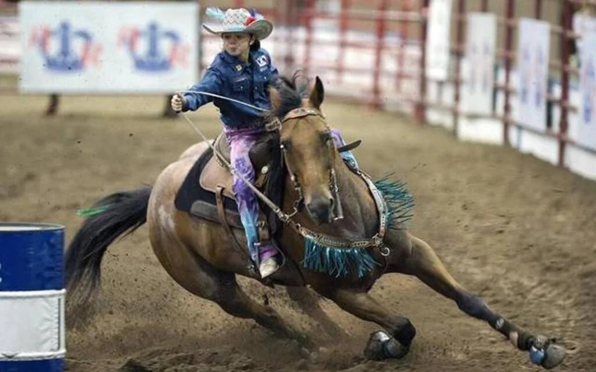 American Royal gets closer to restarting construction. When KCK barns could go up