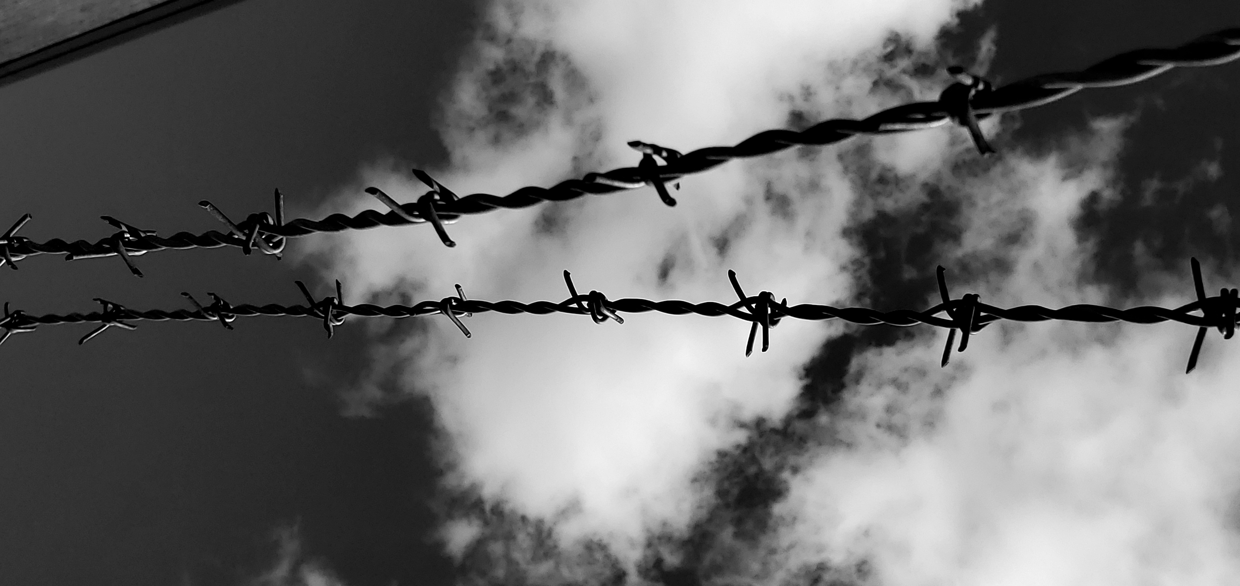   Barbed Wire  