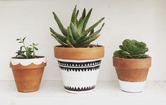 Painted terracotta pots