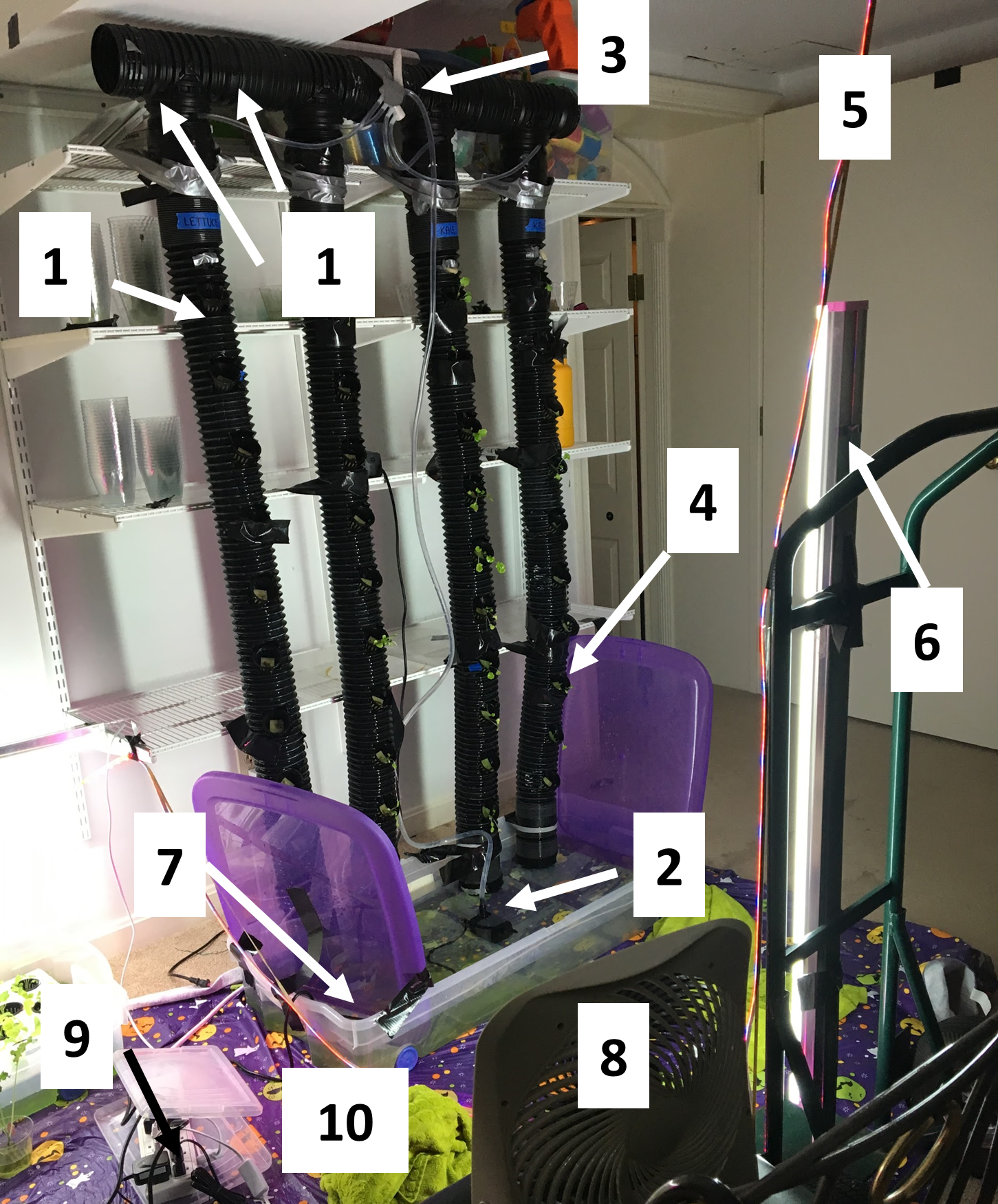 Figure 2: Displays the first vertical system for plant growth. The plants grow at an angle, with their roots suspended in air in the tube. Water is dripped onto the roots using a water pump, collected at the bottom, and then pumped back to the top t…