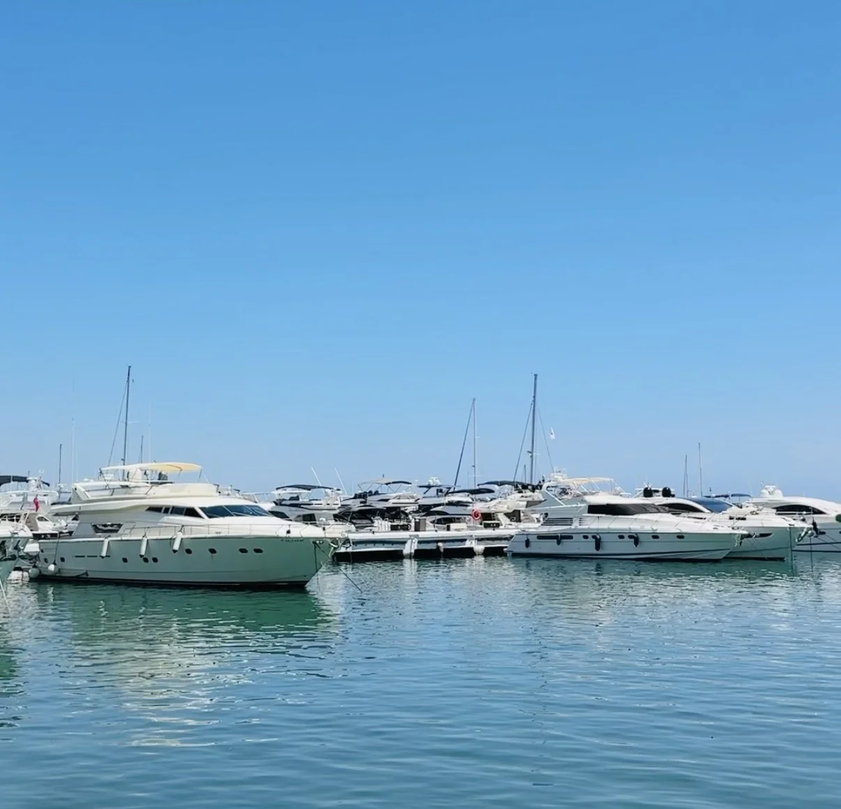 Puerto Banus Harbour.jpg