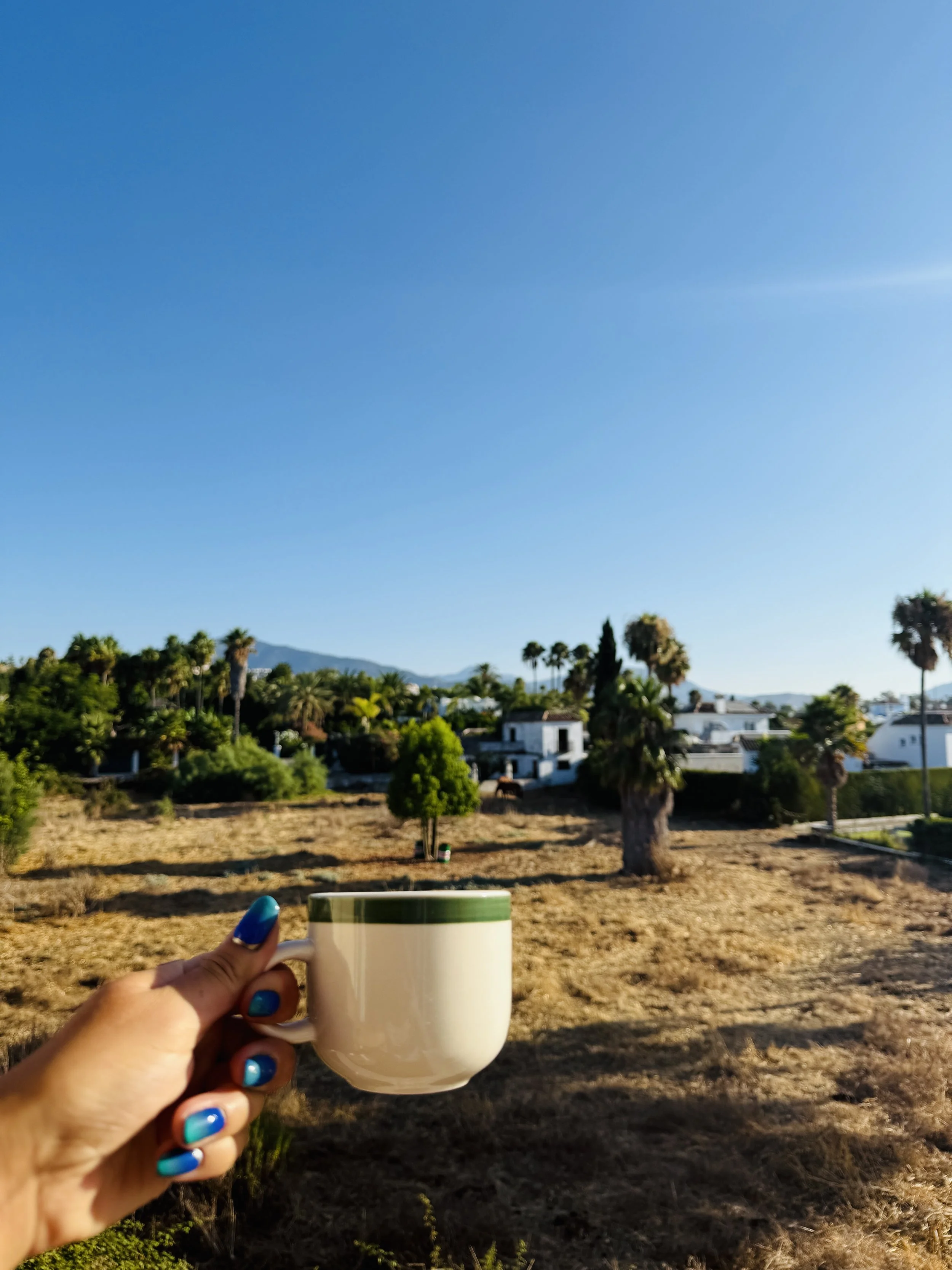 Morning view over the mountains.JPG