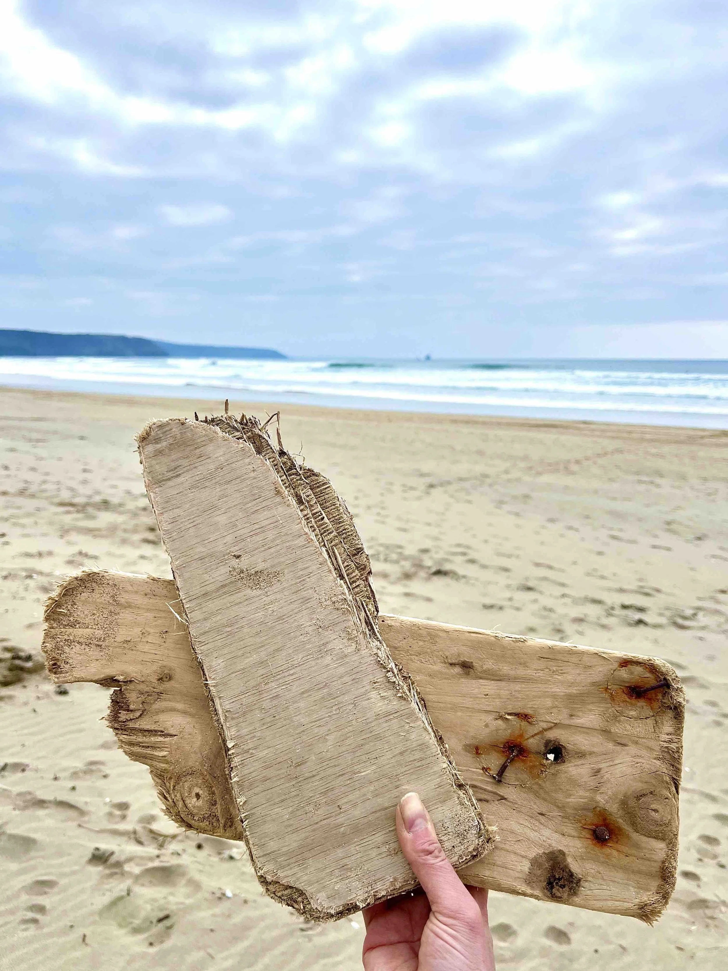 Driftwood collection.jpg