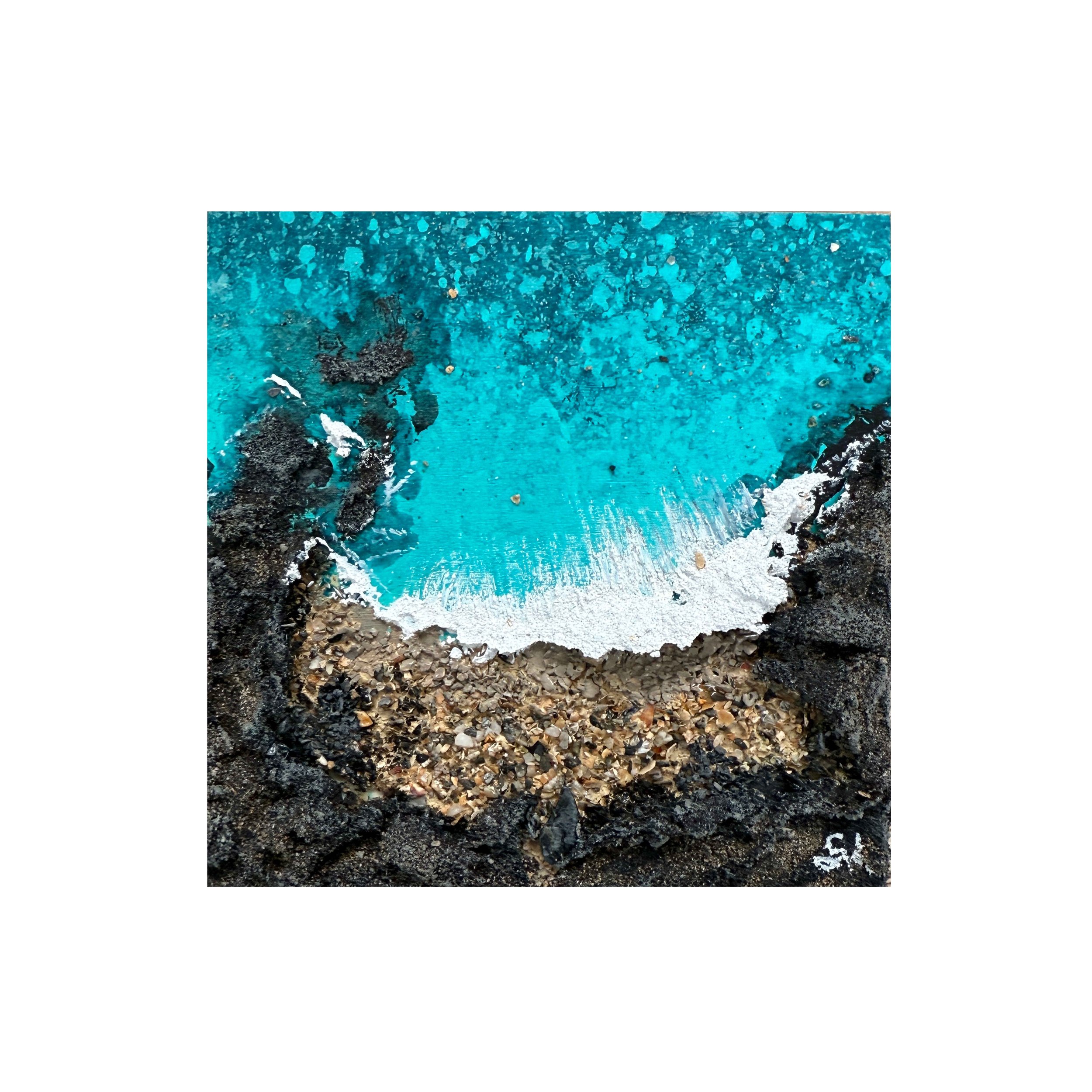 Rinsey Shoreline mini_ib.jpg