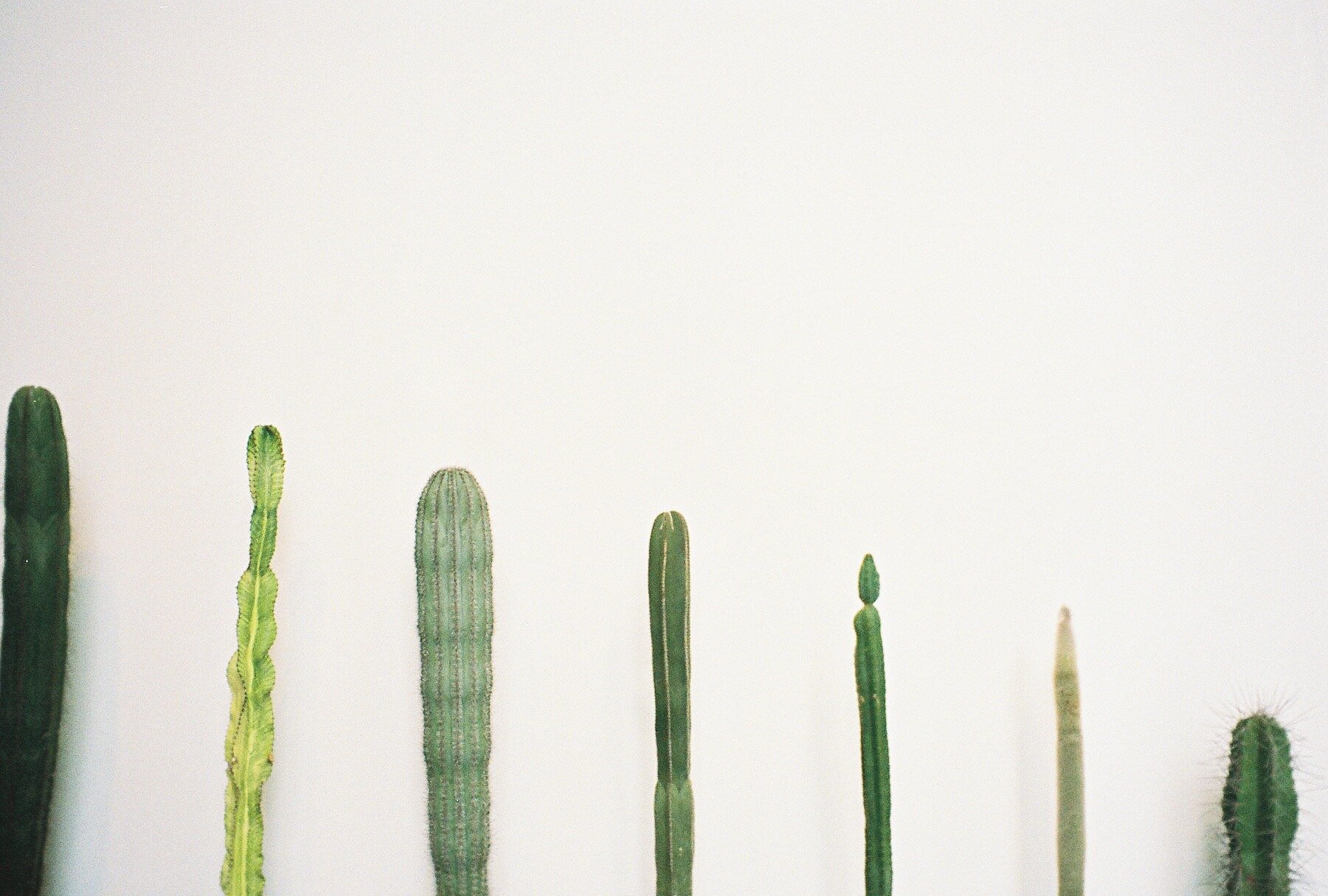 Tips for eating more veggies