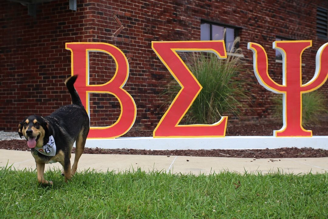 Bruno missed beta sig this summer! Move in day was a blast, glad to see you in the house PC22!