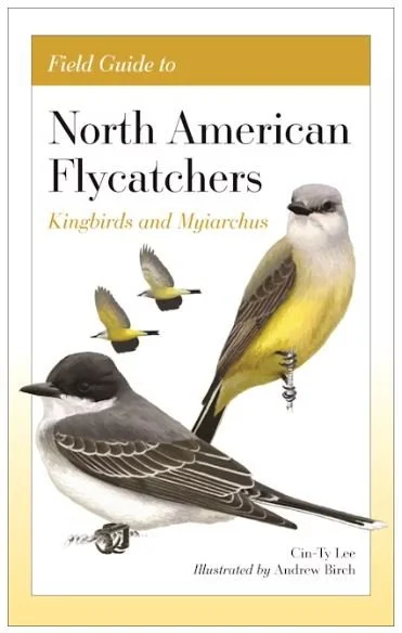 Field Guide to North American Flycatchers: Kingbirds and Myiarchus