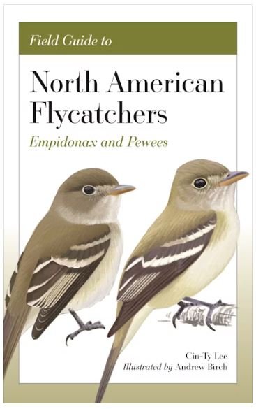 Field Guide to North American Flycatchers: Empidonax and Pewees