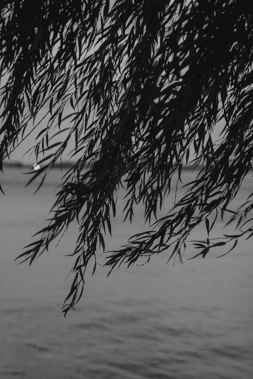 DSC00874-1+(1).jpeg