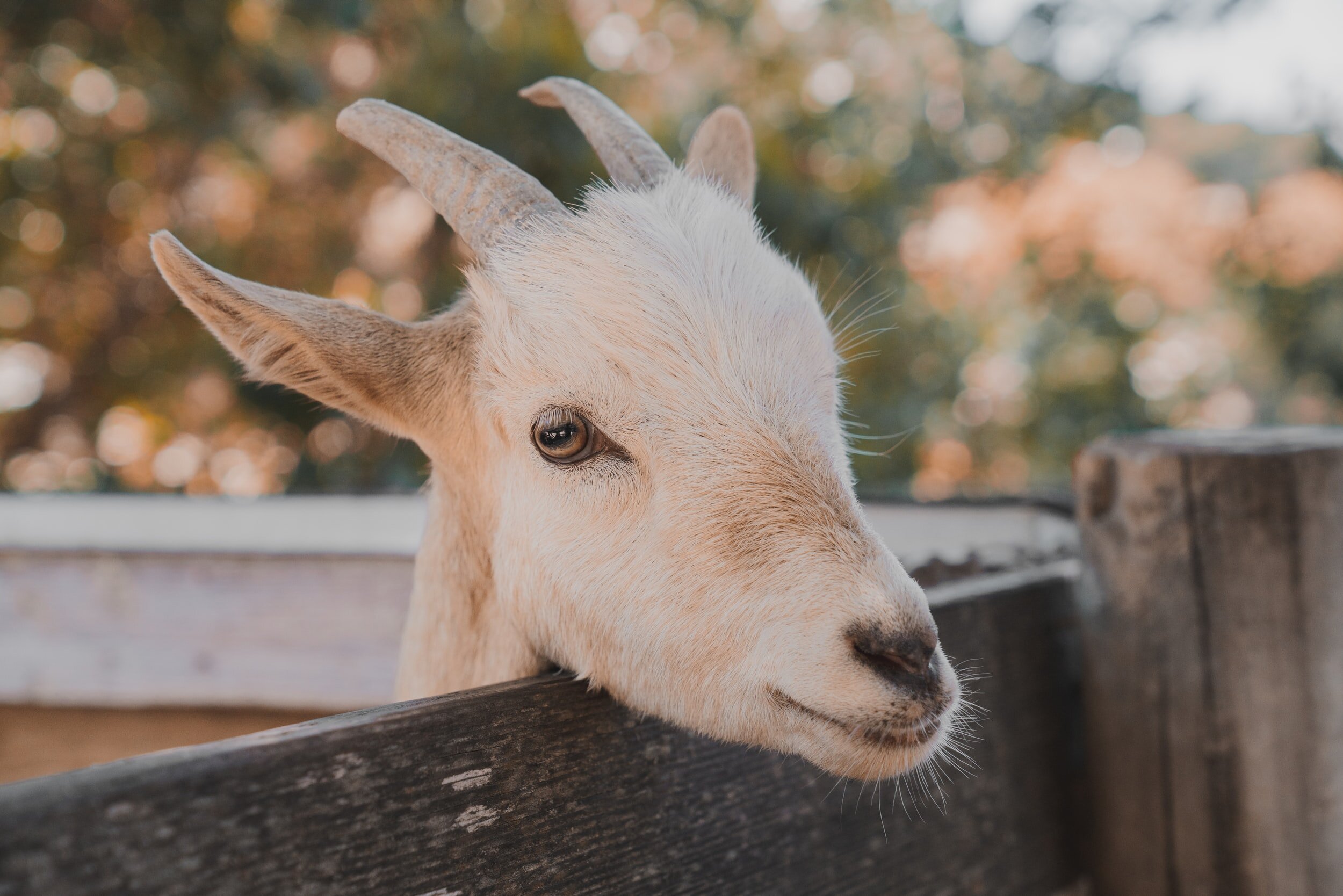 unsplash-image-3mvzYkSF-qY.jpg