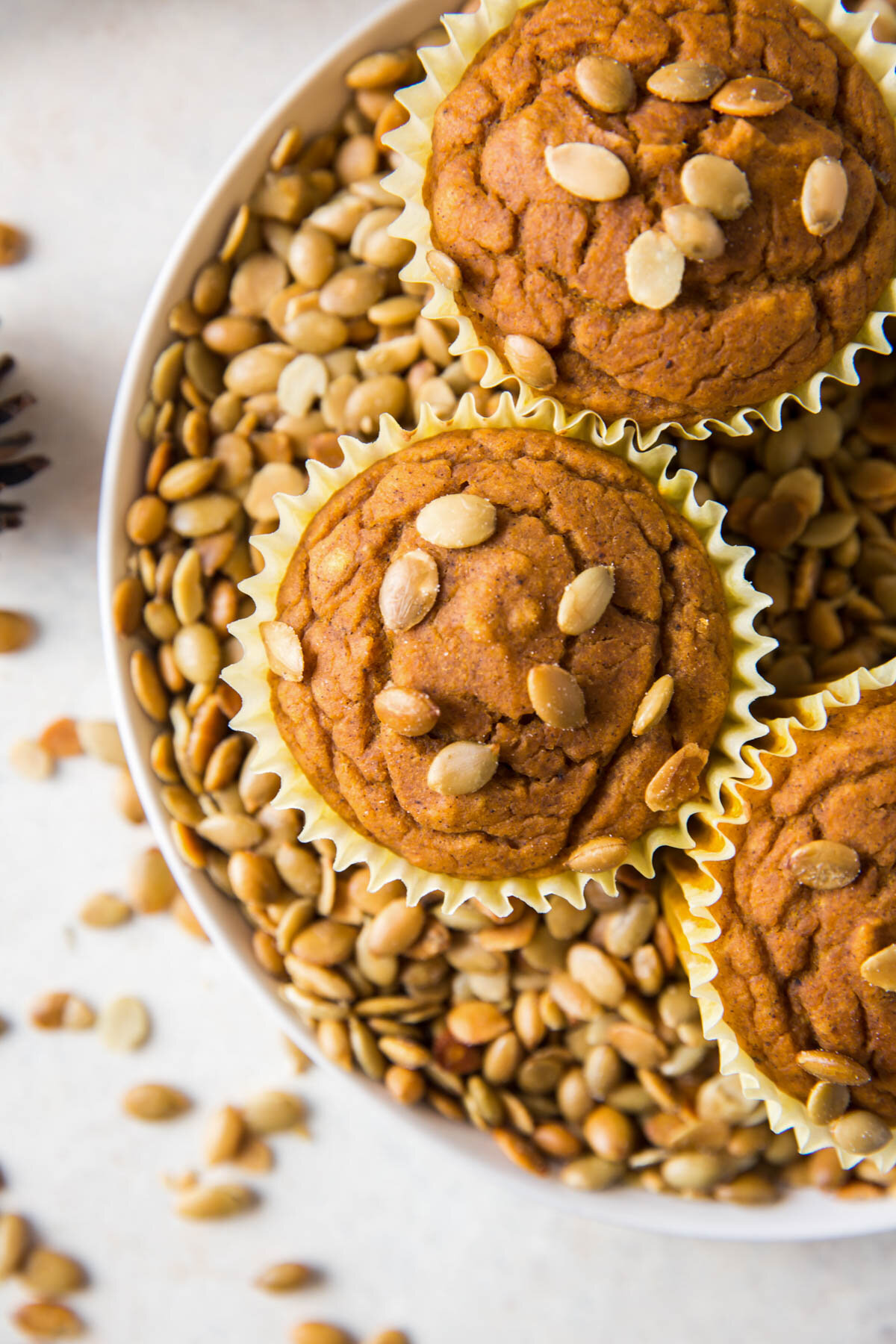 pumpkin muffins-4.jpg