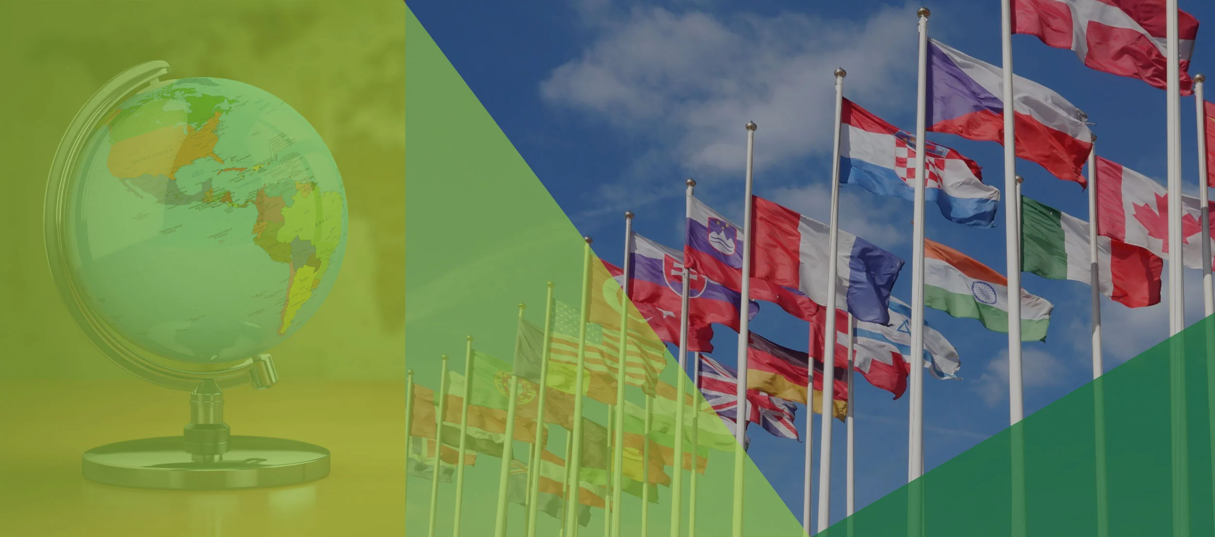 International_MainPageBanner.jpg
