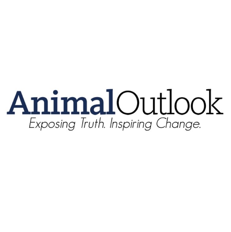 Animal Outlook