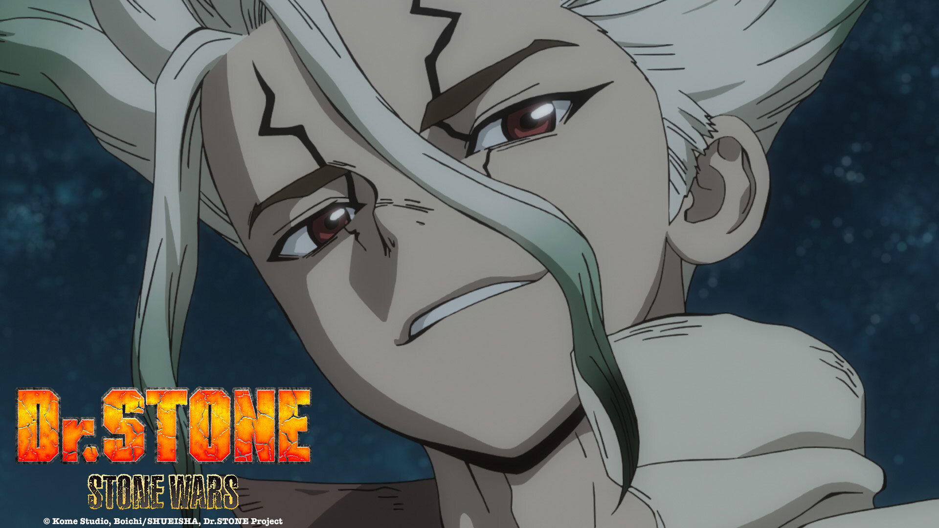 Dr. STONE — NEWS — TMS Entertainment - Anime You Love