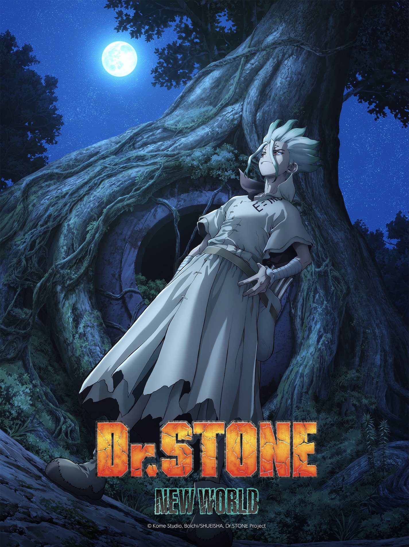 Dr. STONE: New World Airs April 6th - Anime Fire