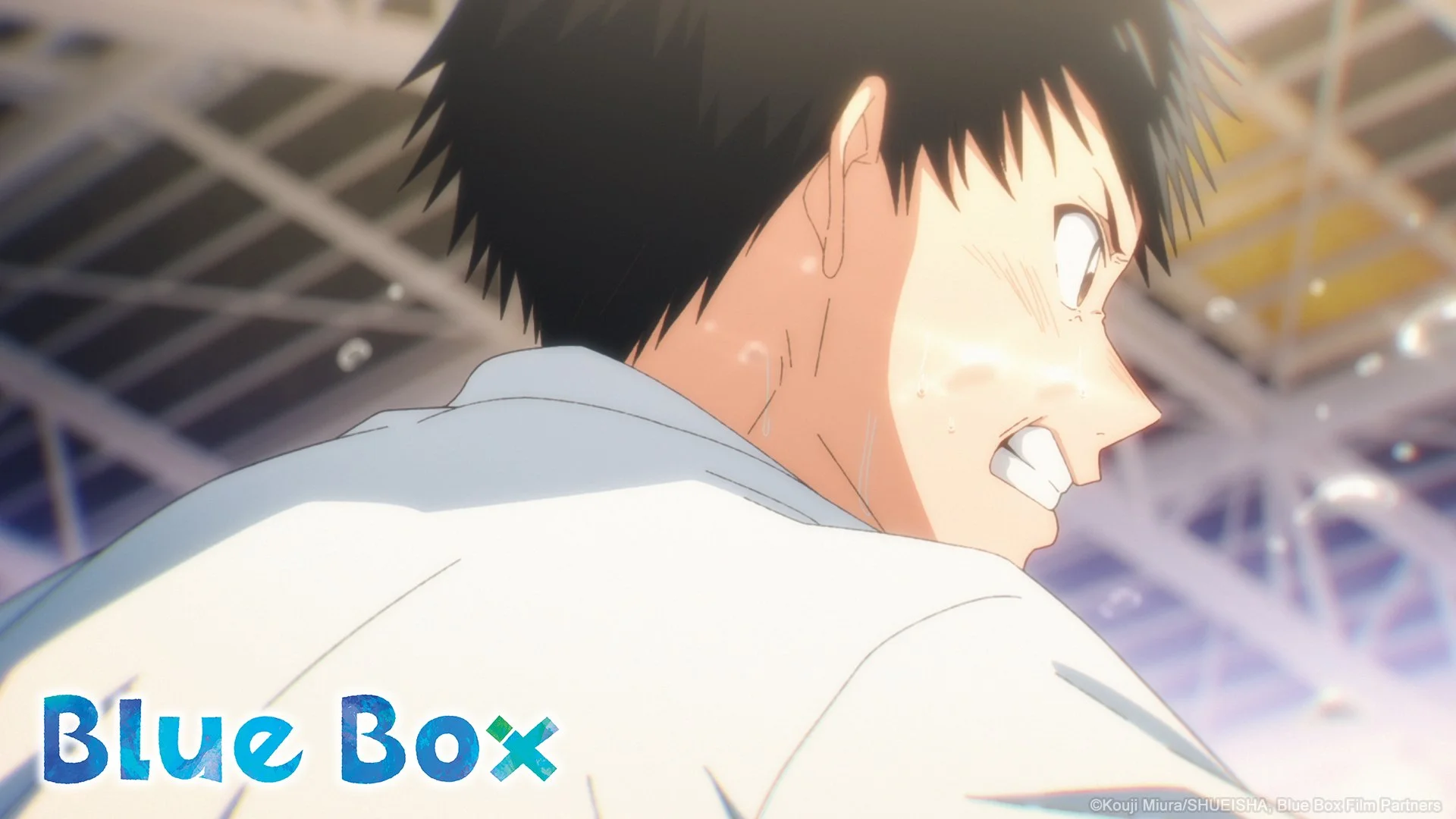 Blue Box — TMS Entertainment Anime You Love