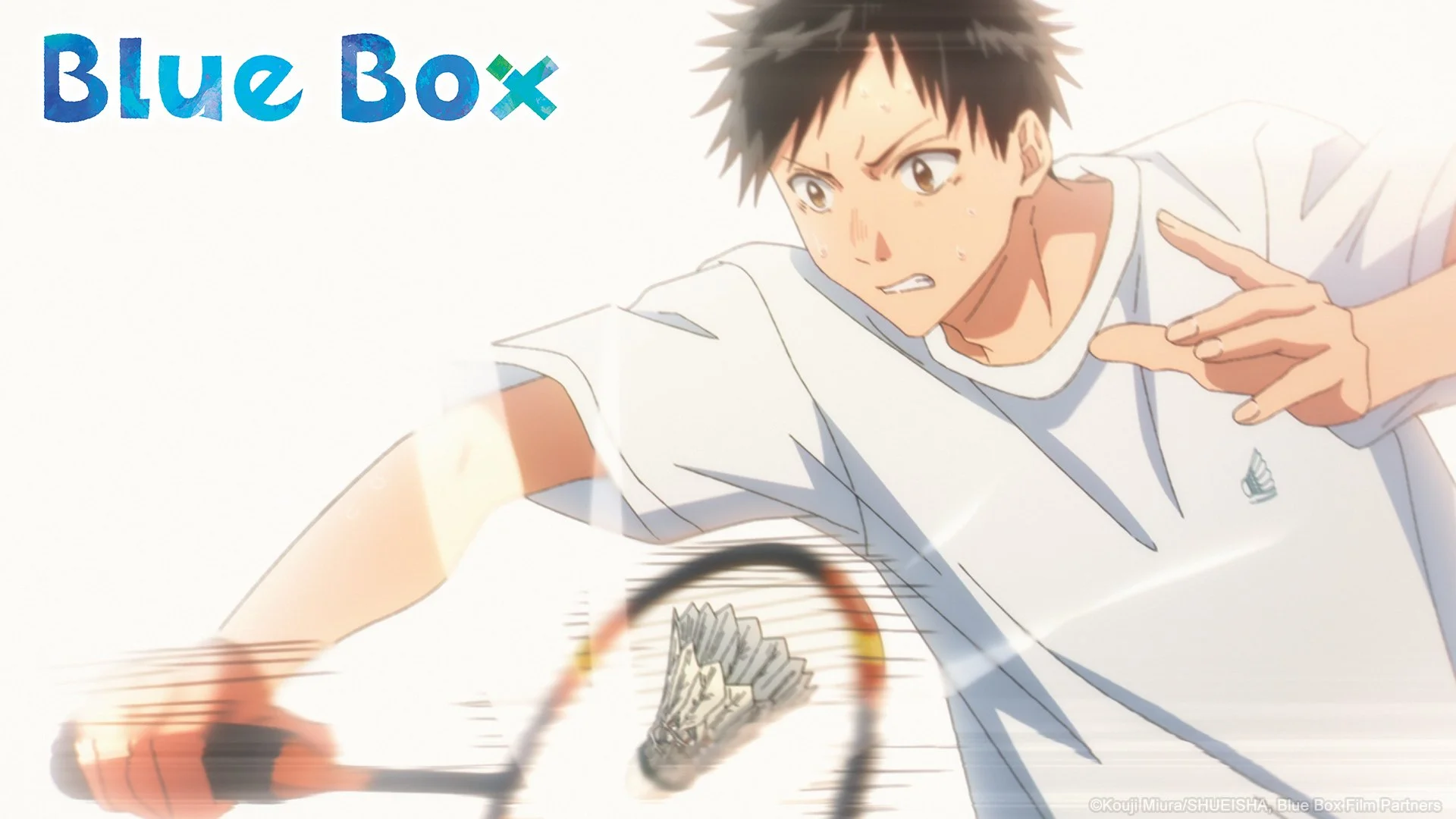 Blue Box — TMS Entertainment Anime You Love