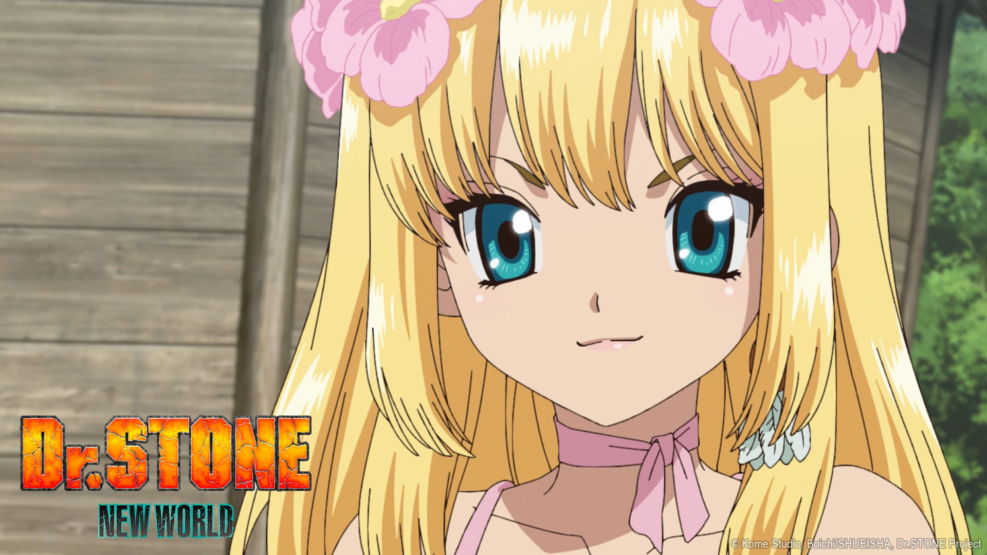 Episode 10 - Dr. Stone: New World [2023-06-09] - Anime News Network