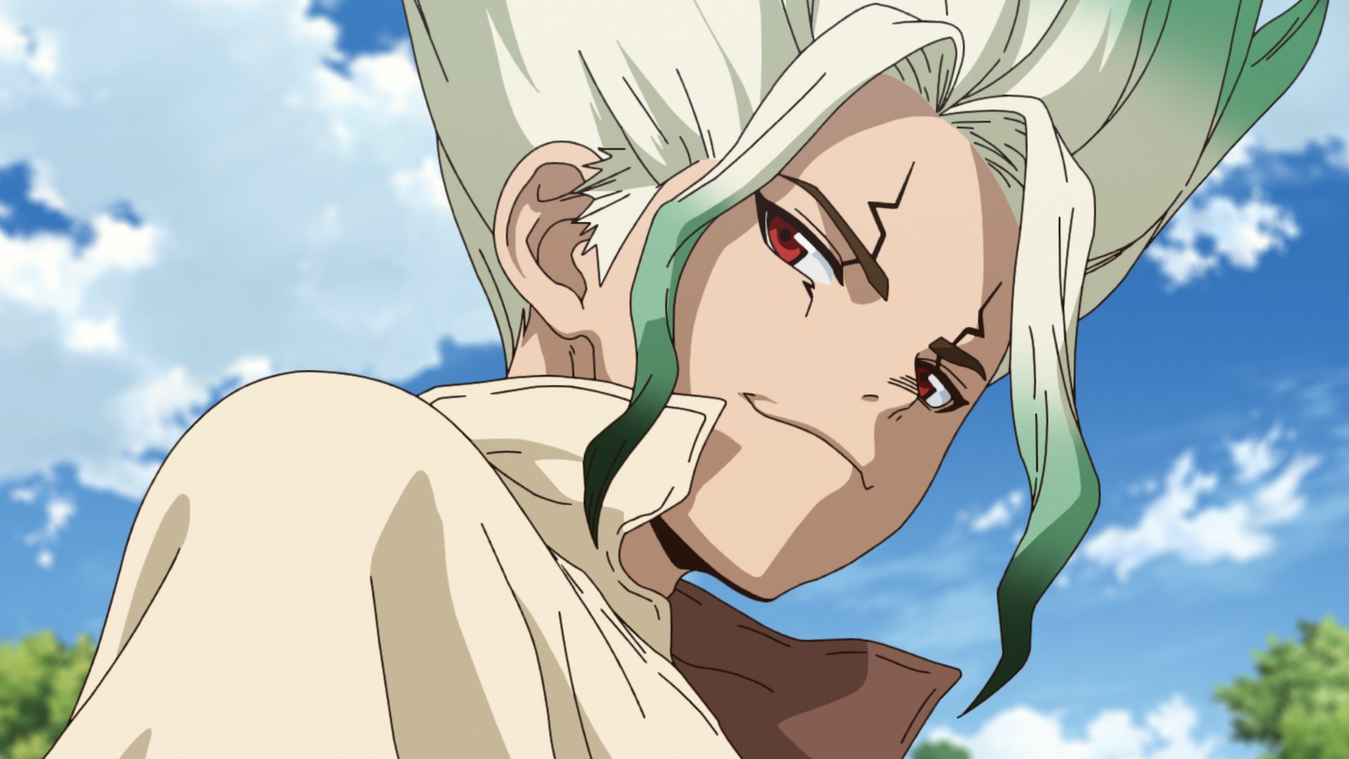 Dr. STONE (Copy) — TMS Entertainment - Anime You Love