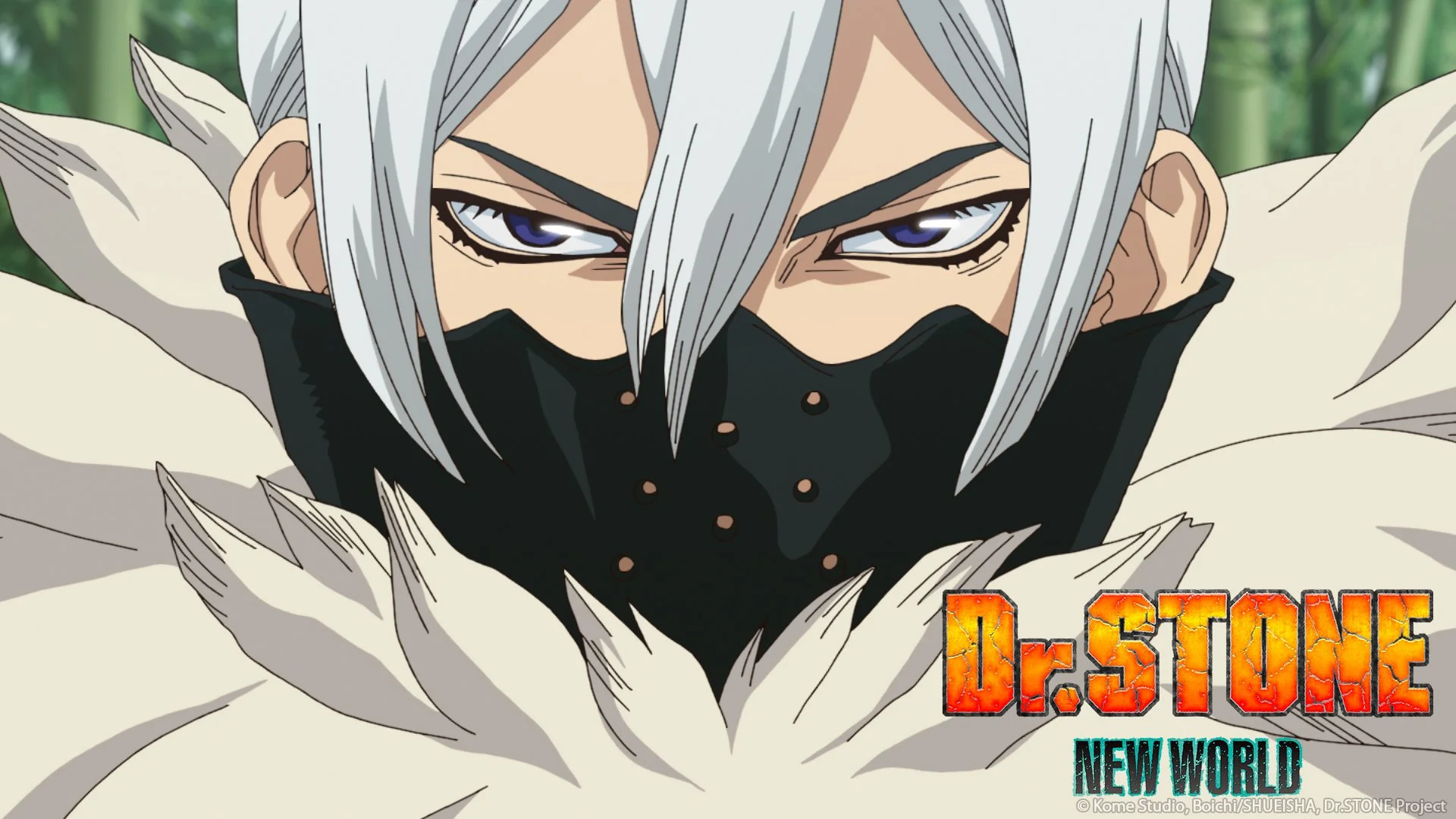 Dr. STONE NEW WORLD Episode 18 Streaming Now — TMS Entertainment