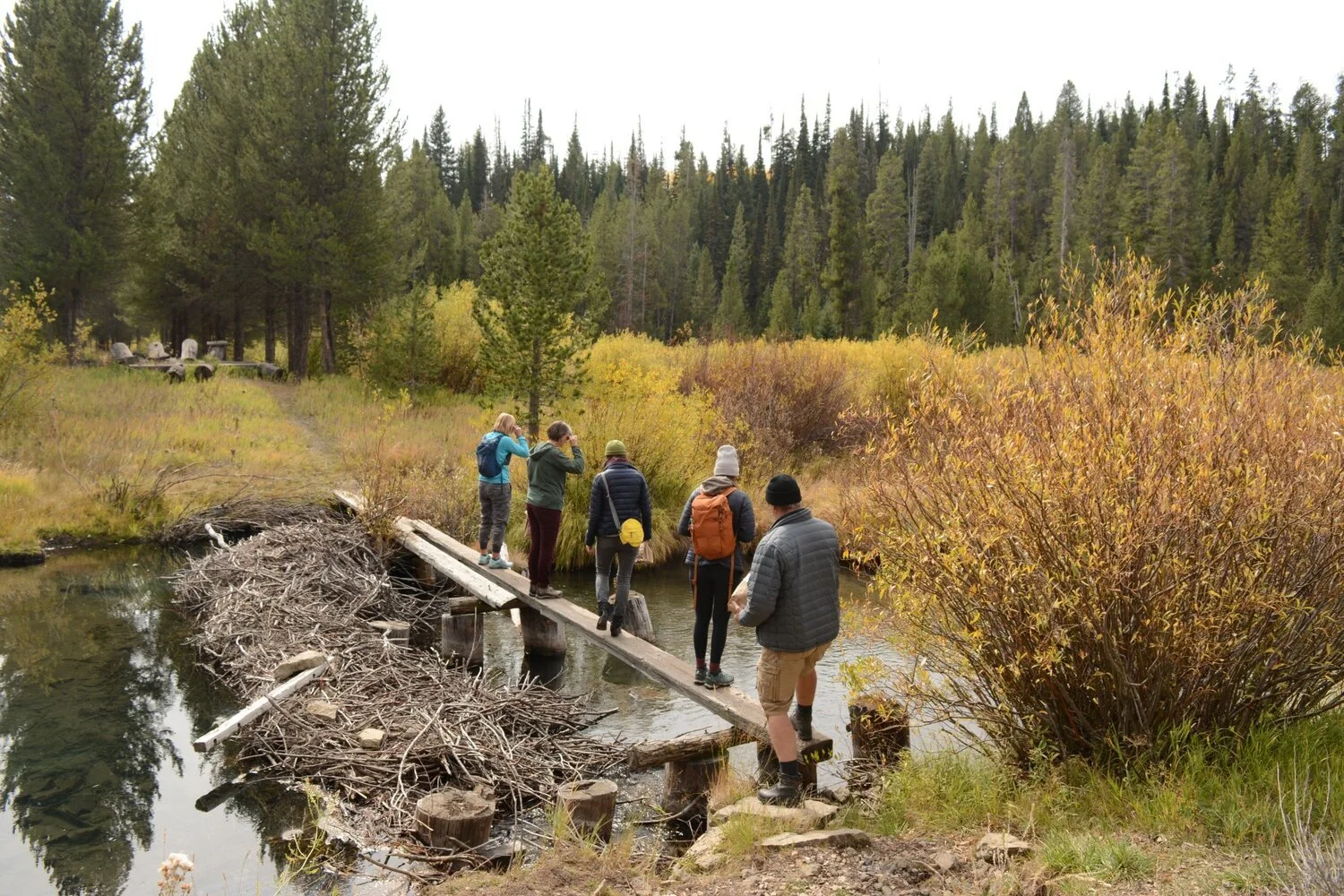 Yellowstone Shortline Trail Receives $78,900 from Montana Department of Commerce