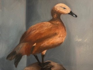 "Hunting Duck",  Oil paint on canvas, 24" x 18"