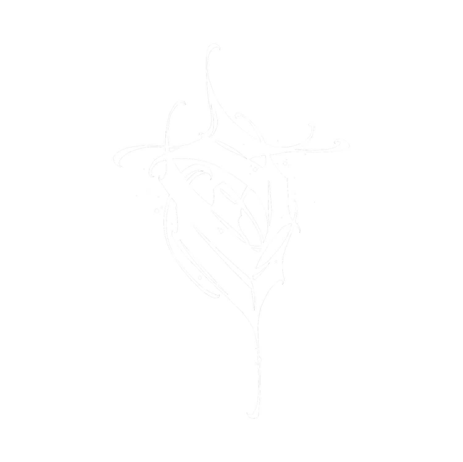 ⊹ SKAO ⊹