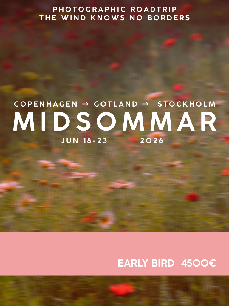 FDV_POSTER EN (2).png