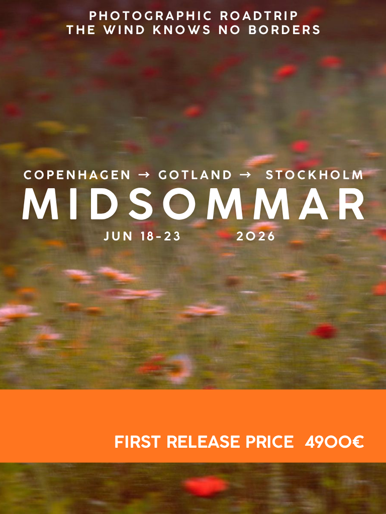 FDV_POSTER EN (4).png