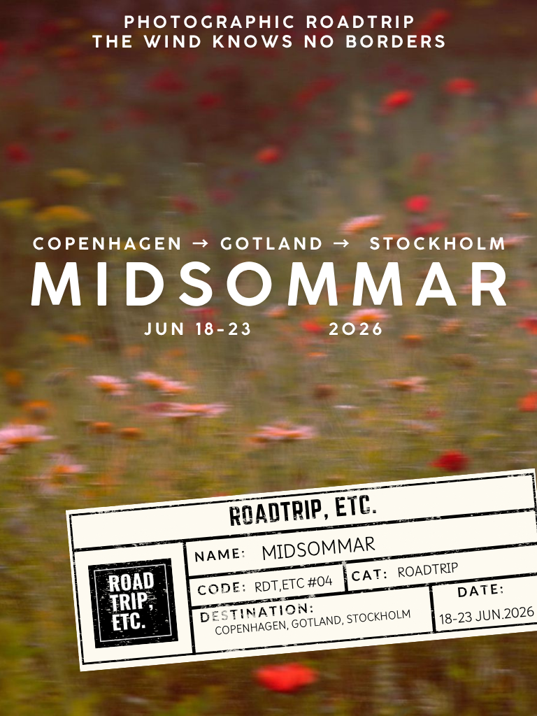 FDV_POSTER EN.png (Copy)