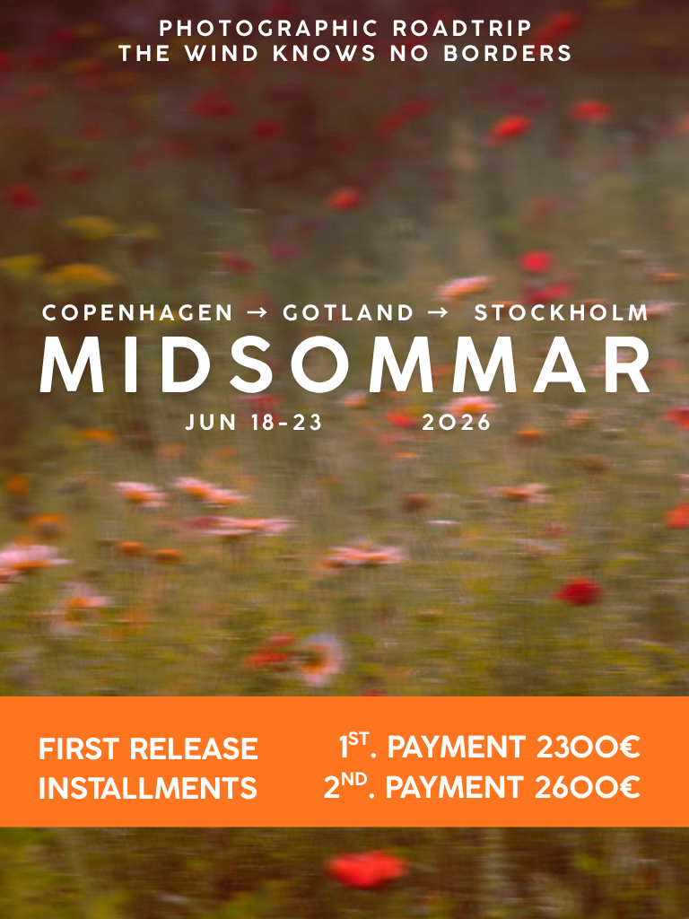 FDV_POSTER EN (5).png