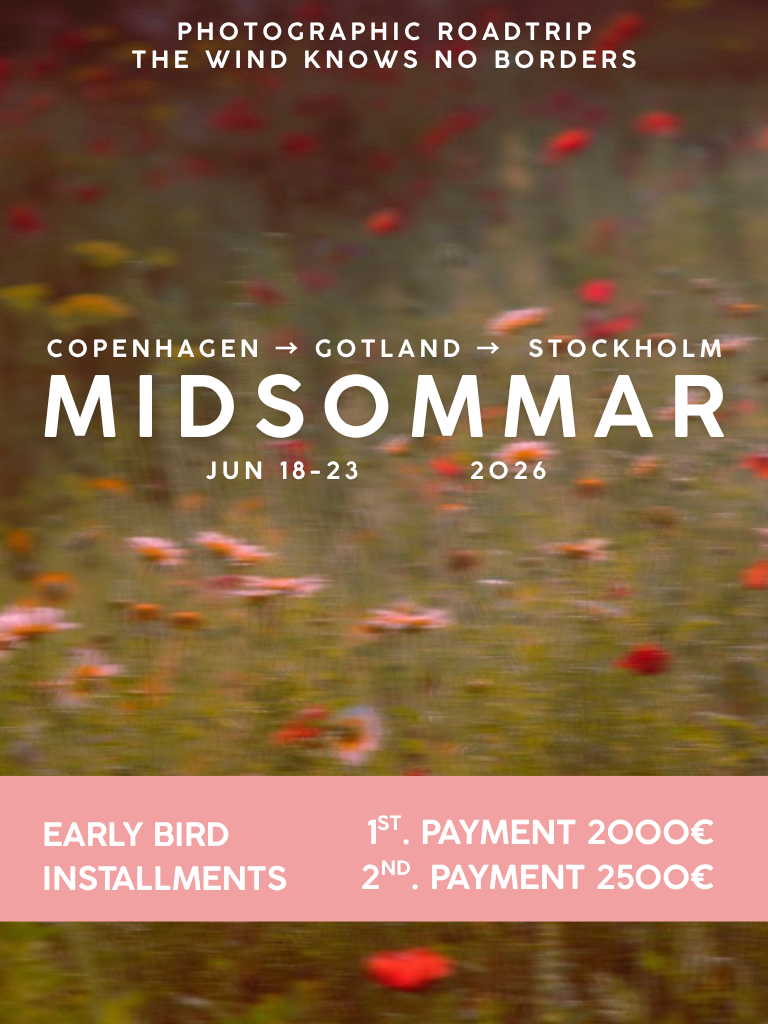 FDV_POSTER EN (3).png