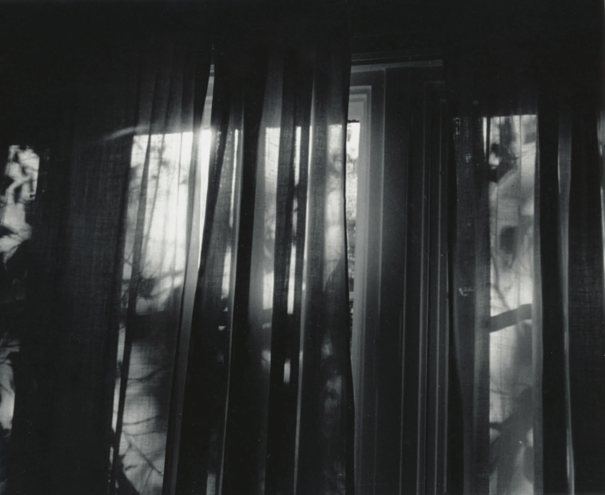 20180104_Berry_ 1.jpg