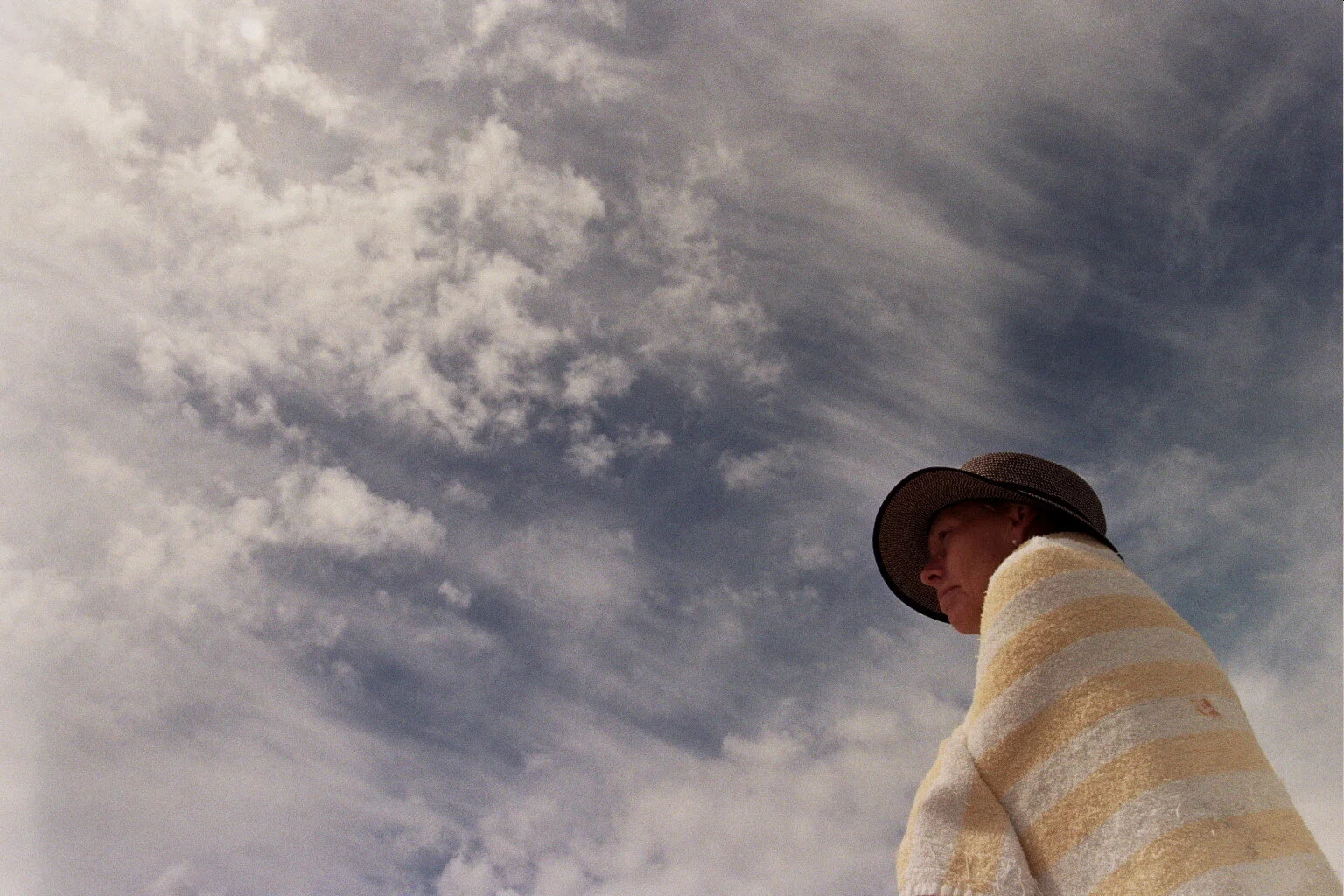 look up, coronado, 2016