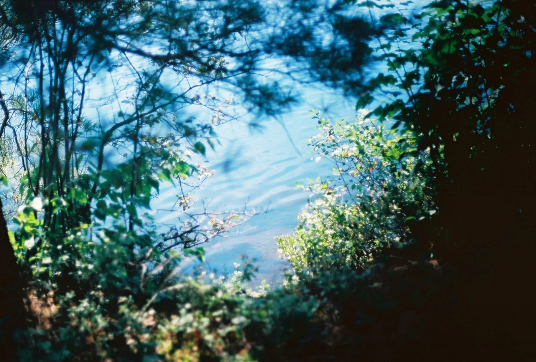 hidden away, quebec, 2016