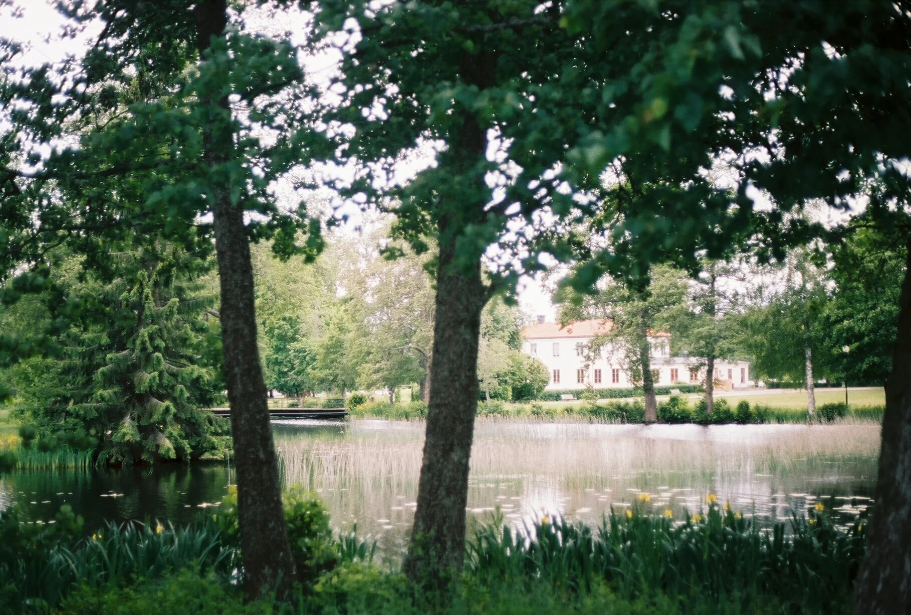 fairytale, sweden, 2019