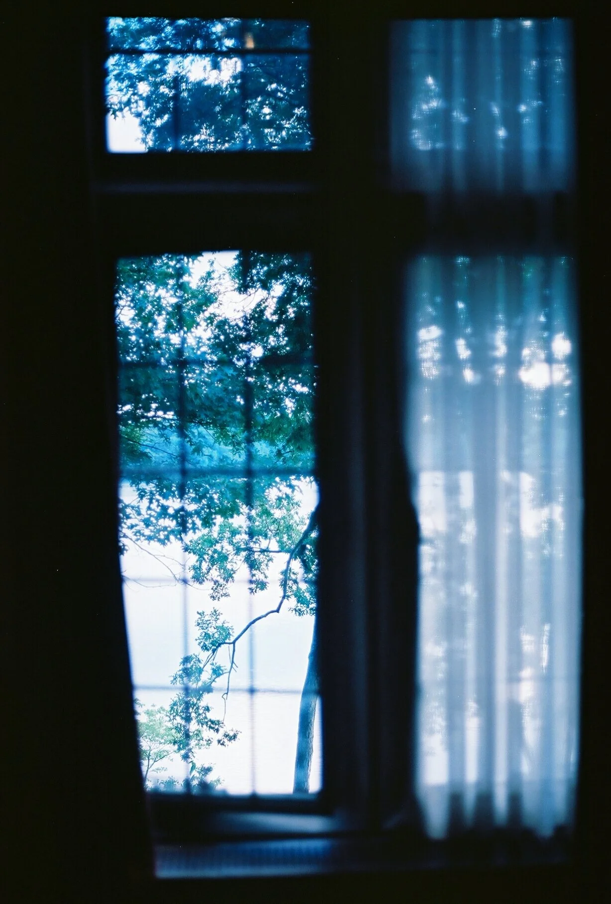 windows, massachussets, 2018
